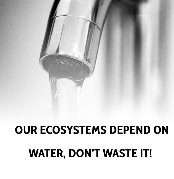 Our ecosystems depend on water, Don’t waste it! - Save Water Slogans