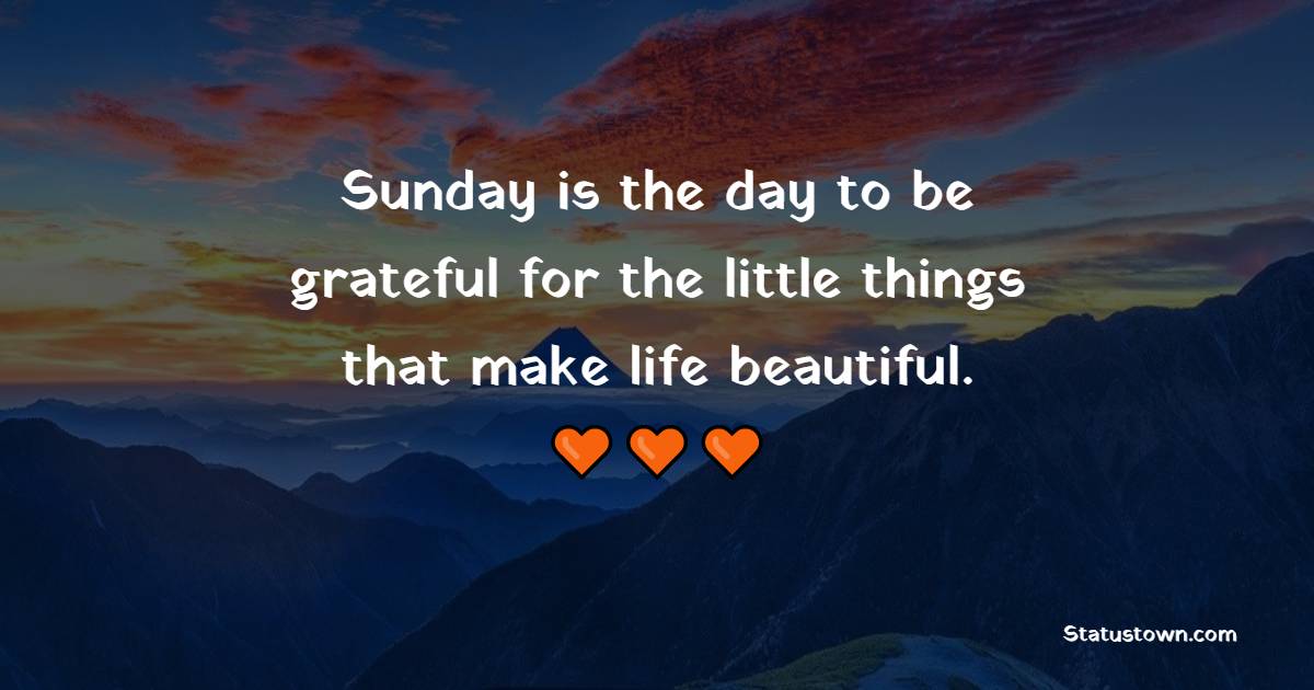 Sunday is the day to be grateful for the little things that make life beautiful.