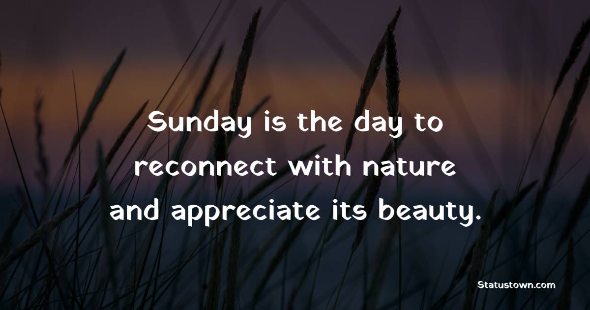 Sunday is the day to reconnect with nature and appreciate its beauty.