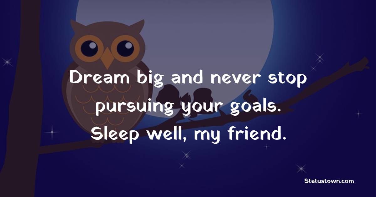 Dream big and never stop pursuing your goals. Sleep well, my friend. - Sweet Dreams Messages for Friends 