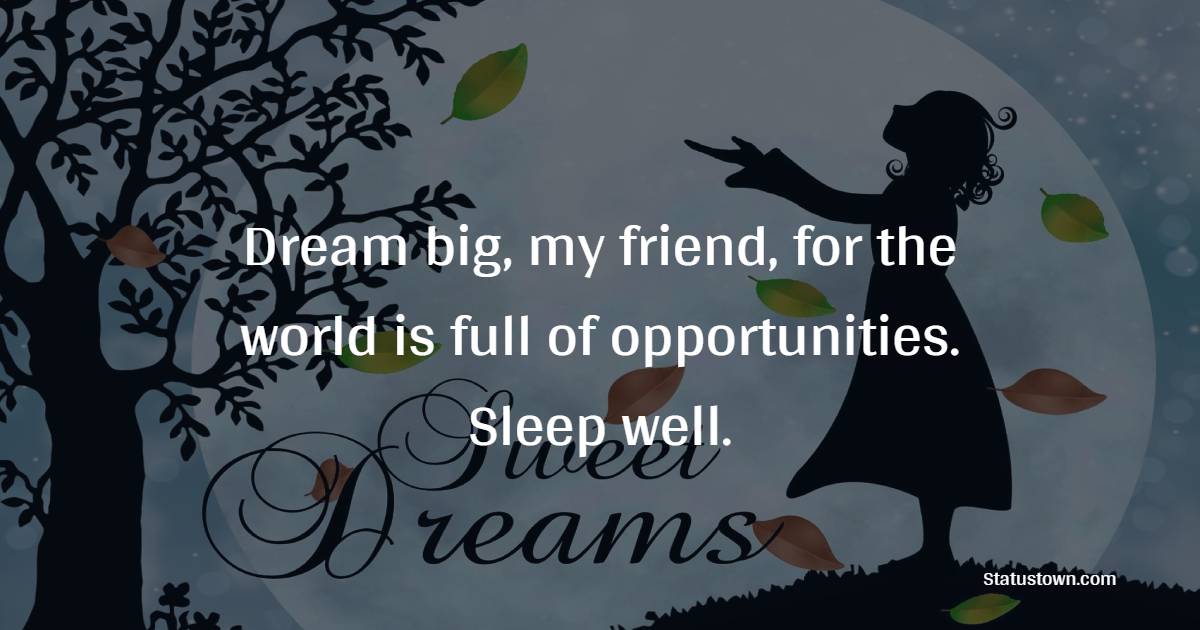 Dream big, my friend, for the world is full of opportunities. Sleep well. - Sweet Dreams Messages for Friends 