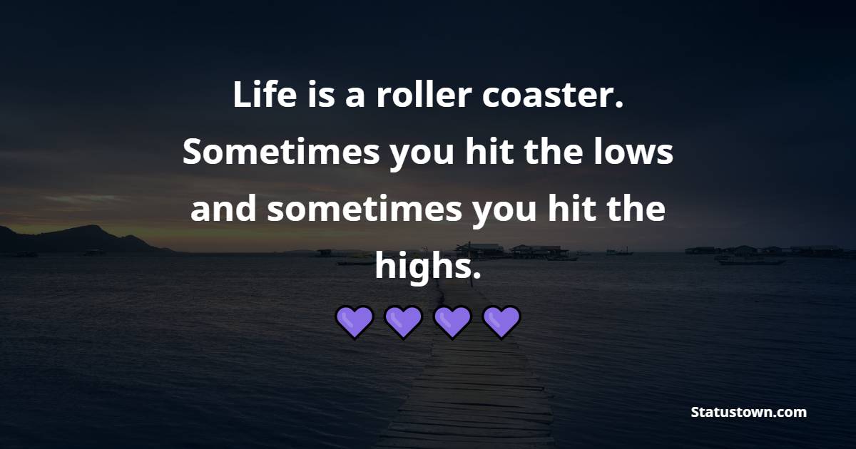 Life is a roller coaster. Sometimes you hit the lows and sometimes you hit the highs.