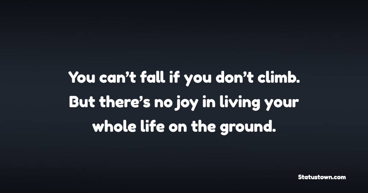 You can’t fall if you don’t climb. But there’s no joy in living your whole life on the ground. - Thursday Quotes 