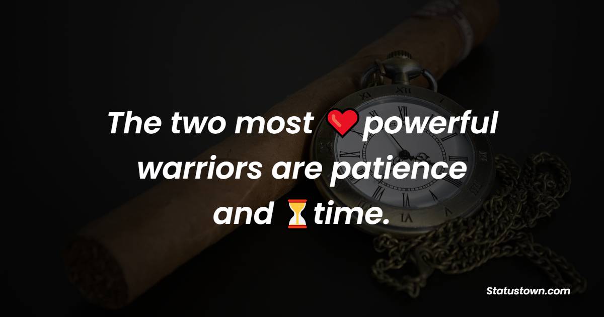 The two most powerful warriors are patience and time. - Time Quotes
