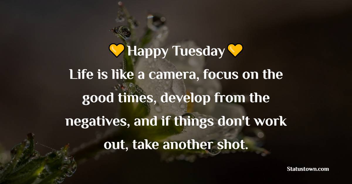 Happy Tuesday! Life is like a camera, focus on the good times, develop from the negatives, and if things don't work out, take another shot. - Tuesday Positive Quotes