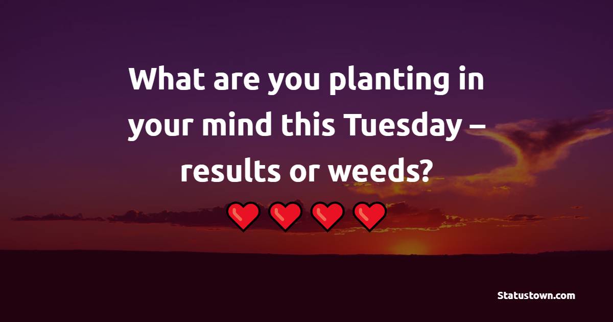 What are you planting in your mind this Tuesday – results or weeds? - Tuesday Quotes