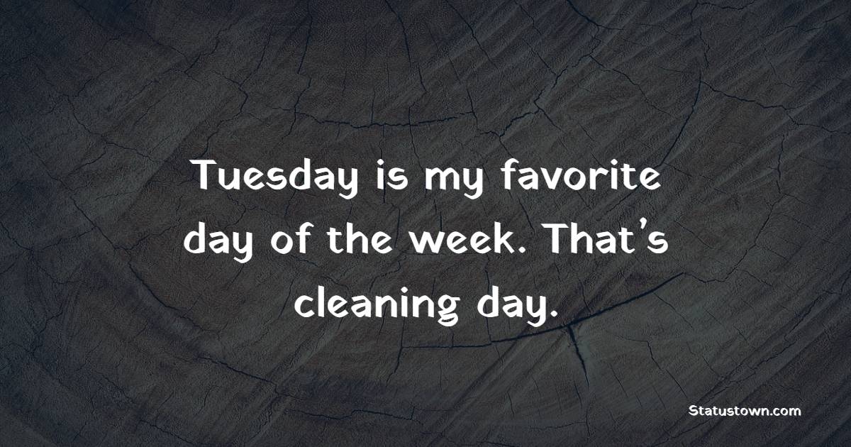 Tuesday is my favorite day of the week. That’s cleaning day. - Tuesday Quotes