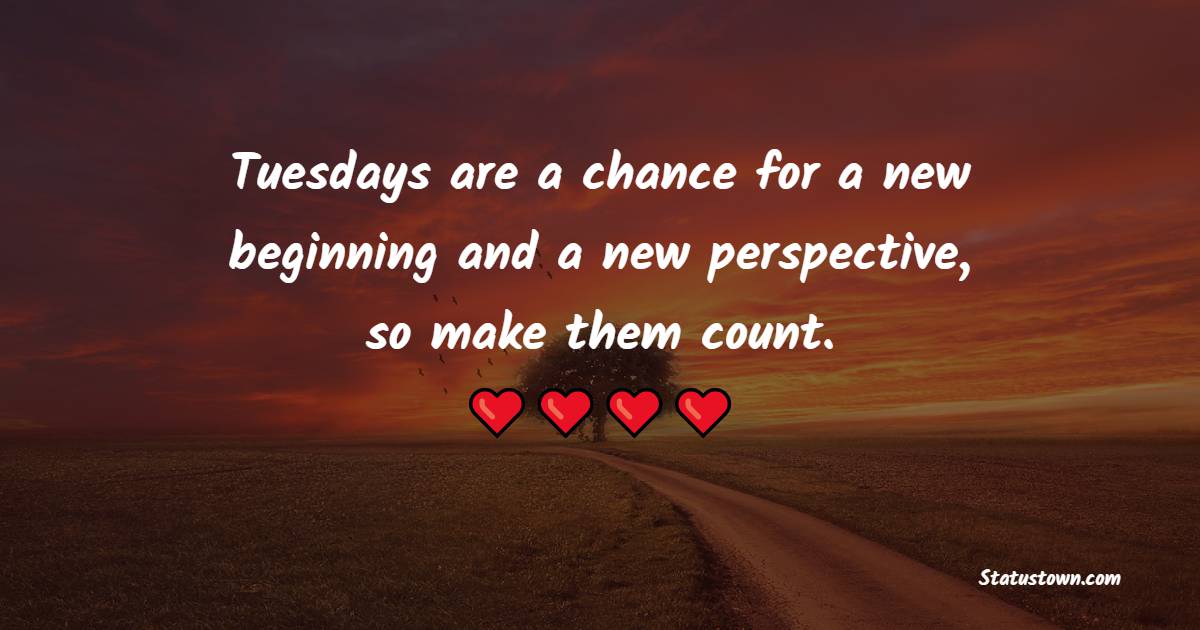 Tuesdays are a chance for a new beginning and a new perspective, so make them count.