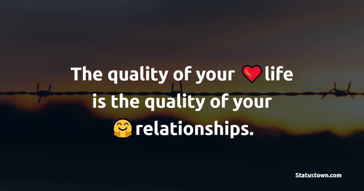 The quality of your life is the quality of your relationships. - Unique Quotes
