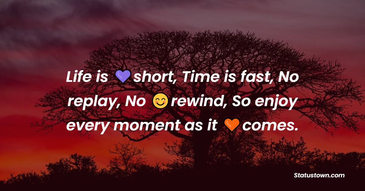 Life is short, Time is fast, No replay, No rewind, So enjoy every moment as it comes. - Unique Quotes