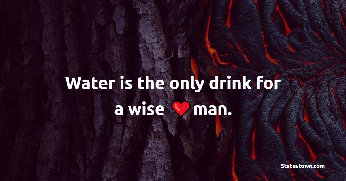 Water is the only drink for a wise man.