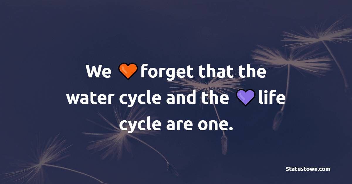 We forget that the water cycle and the life cycle are one.