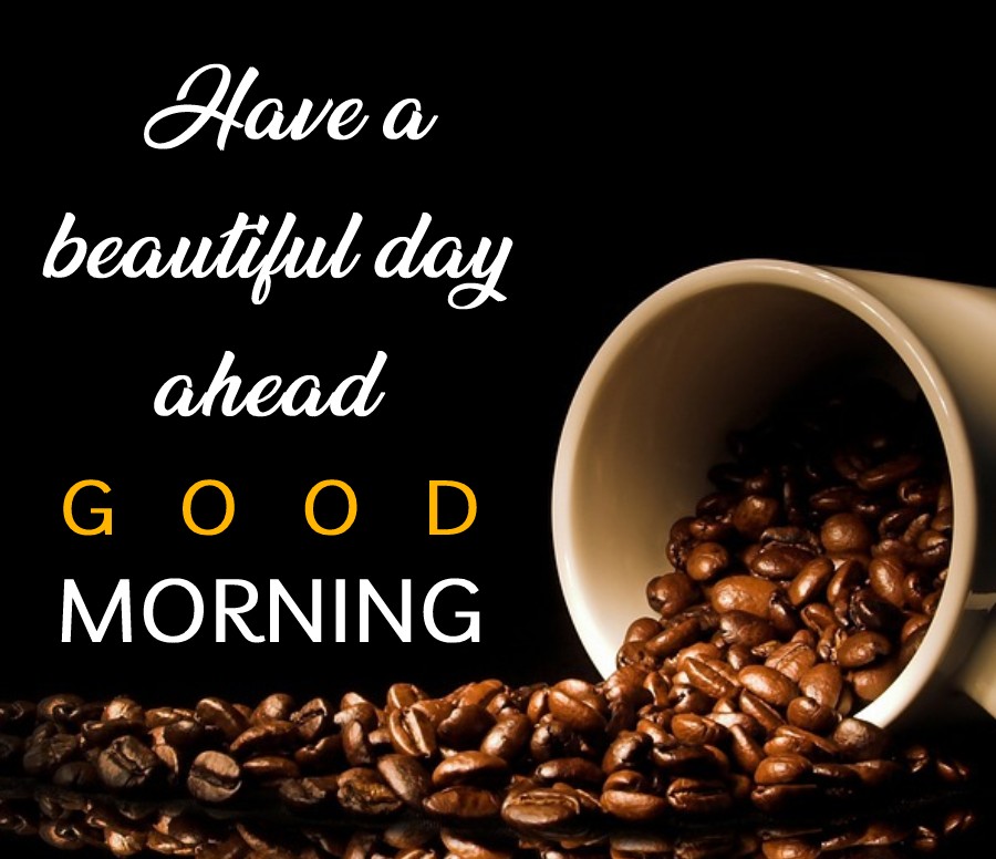 Have a beautiful day ahead! Good morning - good morning quotes 