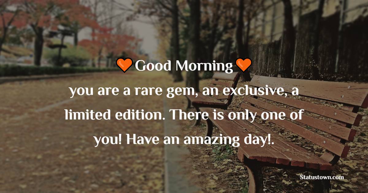 Good morning you are a rare gem, an exclusive, a limited edition. There is only one of you! Have an amazing day!.