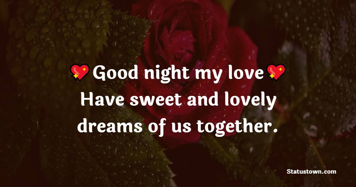Good night my love. Have sweet and lovely dreams of us together.