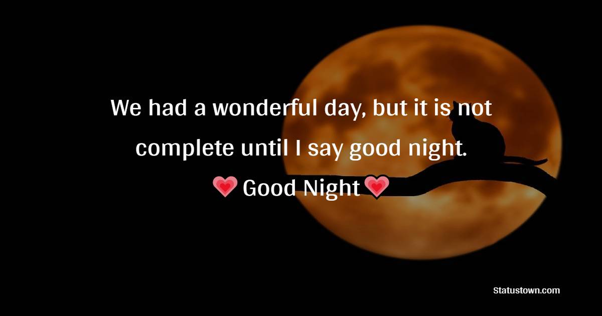 We had a wonderful day, but it is not complete until I say good night. Good night my dear! - good night Messages For Girlfriend
