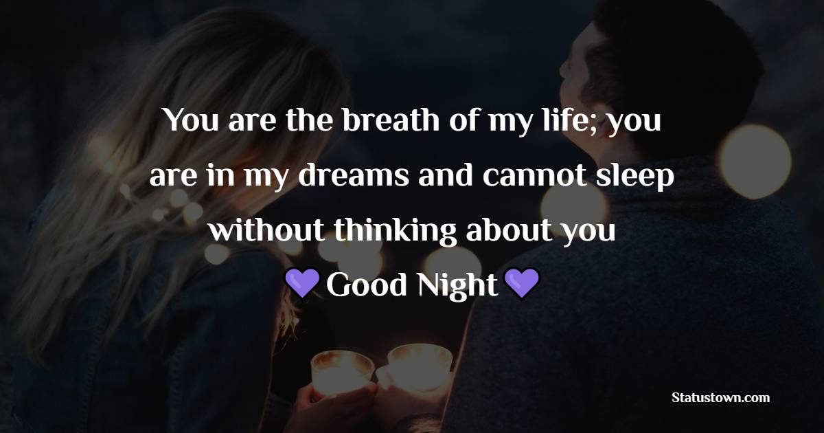 You are the breath of my life; you are in my dreams and cannot sleep without thinking about you - Good Night! - good night Messages For Girlfriend 