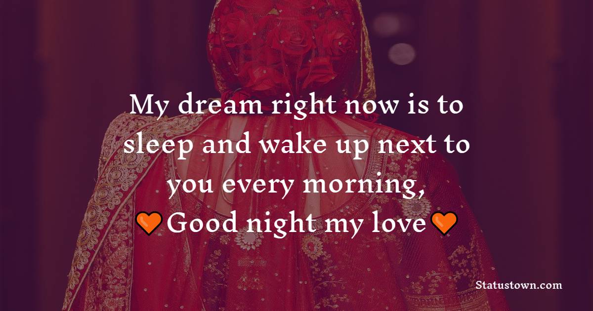 My dream right now is to sleep and wake up next to you every morning, Good night my love. - good night Messages For Girlfriend