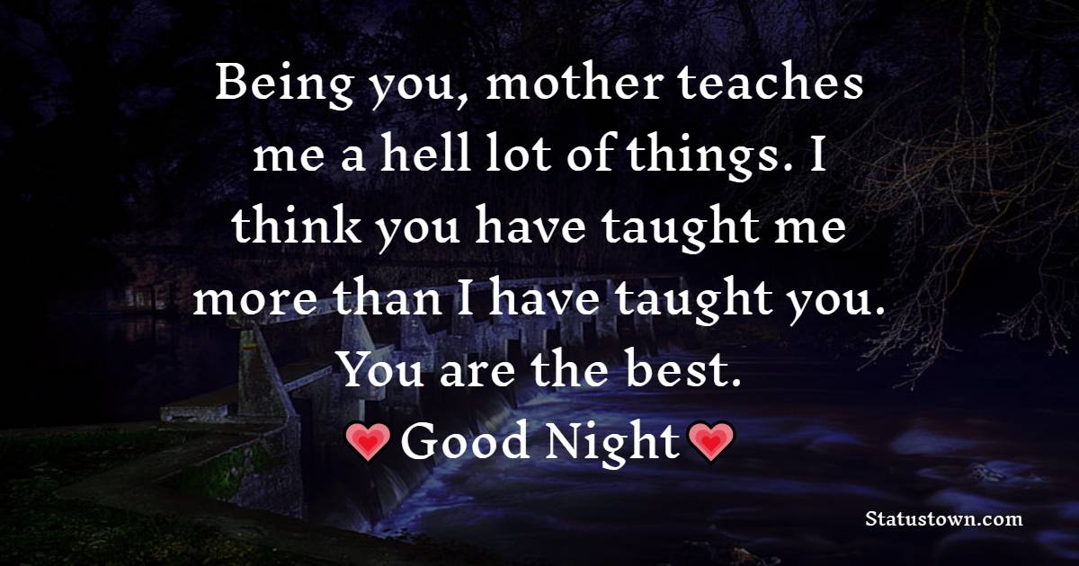 Being you, mother teaches me a hell lot of things. I think you have taught me more than I have taught you. You are the best. I love you. - good night Messages For daughter 