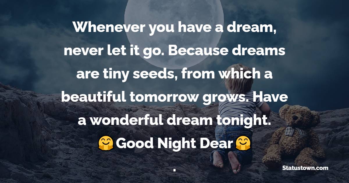 Whenever you have a dream, never let it go. Because dreams are tiny seeds, from which a beautiful tomorrow grows. Have a wonderful dream tonight. Good night, dear. - good night Messages For husband 