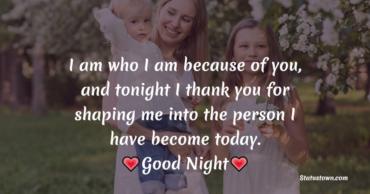 I am who I am because of you, and tonight I thank you for shaping me into the person I have become today. - good night Messages For mom