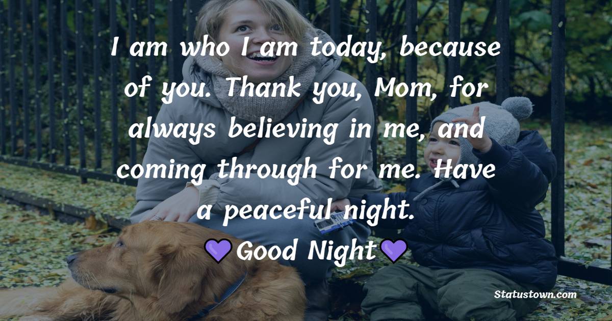 I am who I am today, because of you. Thank you, Mom, for always believing in me, and coming through for me. Have a peaceful night. - good night Messages For mom
