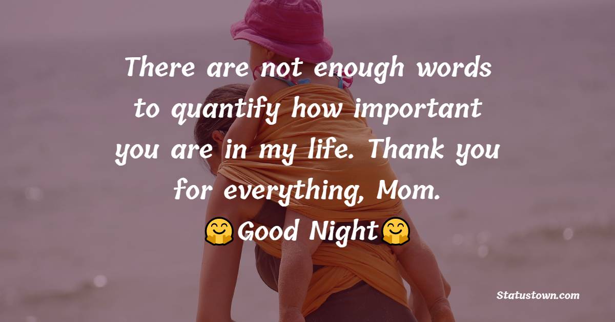 There are not enough words to quantify how important you are in my life. Thank you for everything, Mom. Good night. - good night Messages For mom