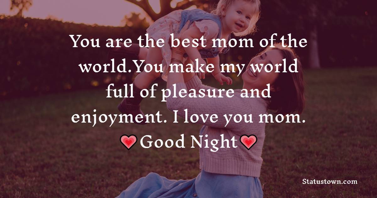 You are the best mom of the world.You make my world full of pleasure and enjoyment. I love you mom.