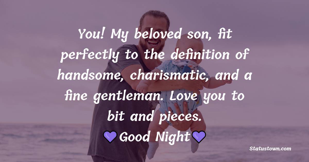 You! My beloved son, fit perfectly to the definition of handsome, charismatic, and a fine gentleman. Love you to bit and pieces. - good night Messages For son
