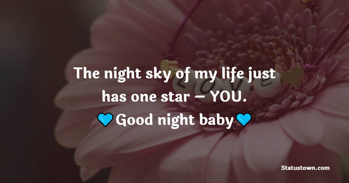 The night sky of my life just has one star – YOU. Good night baby. - good night Messages For wife
 