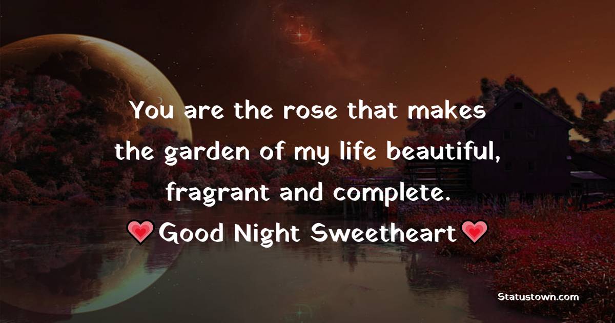 You are the rose that makes the garden of my life beautiful, fragrant and complete. Good night sweetheart. - good night Messages For wife
