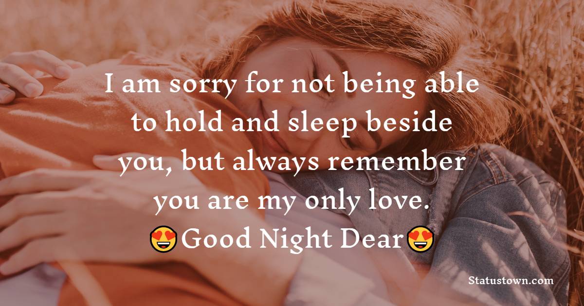 I am sorry for not being able to hold and sleep beside you, but always remember you are my only love. Goodnight dear. - good night Messages For wife
