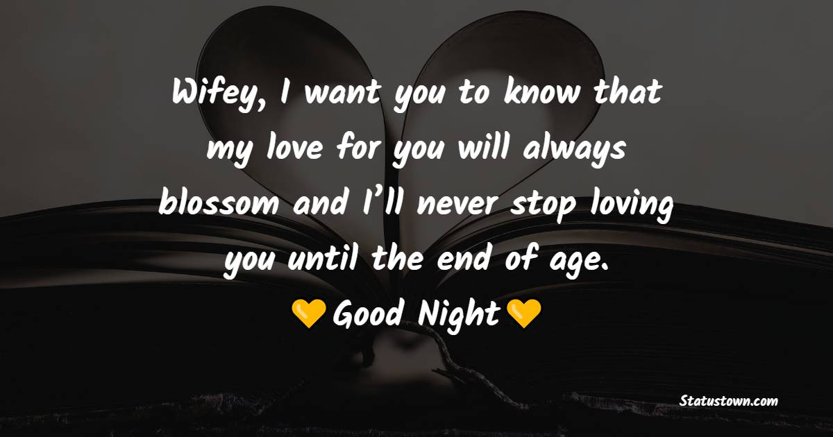 Wifey, I want you to know that my love for you will always blossom and I’ll never stop loving you until the end of age. Goodnight and sweet dreams, my queen. - good night Messages For wife

