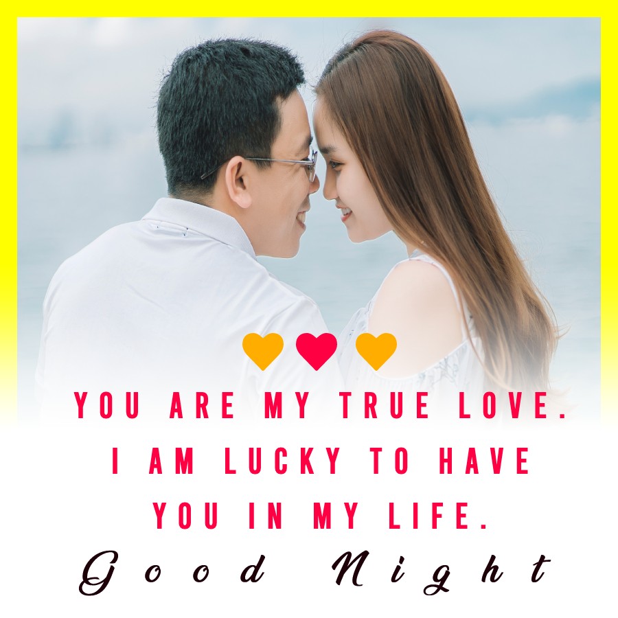 You are my true love. I am lucky to have you in my life. Good Night - good night Messages For wife
