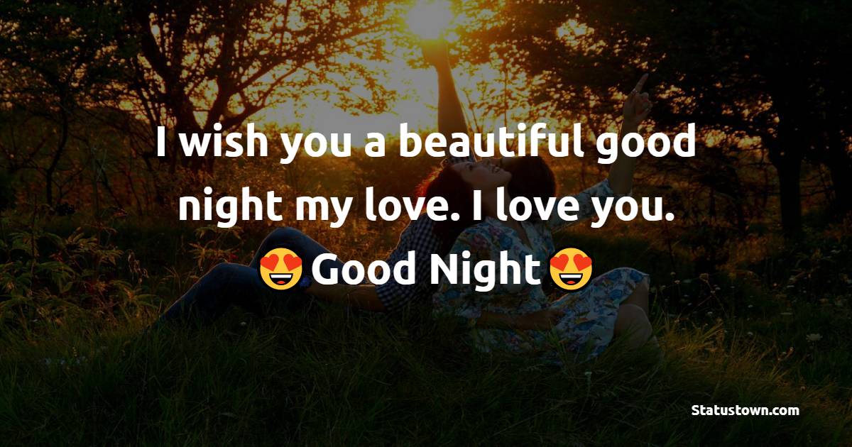 I wish you a beautiful good night my love. I love you.