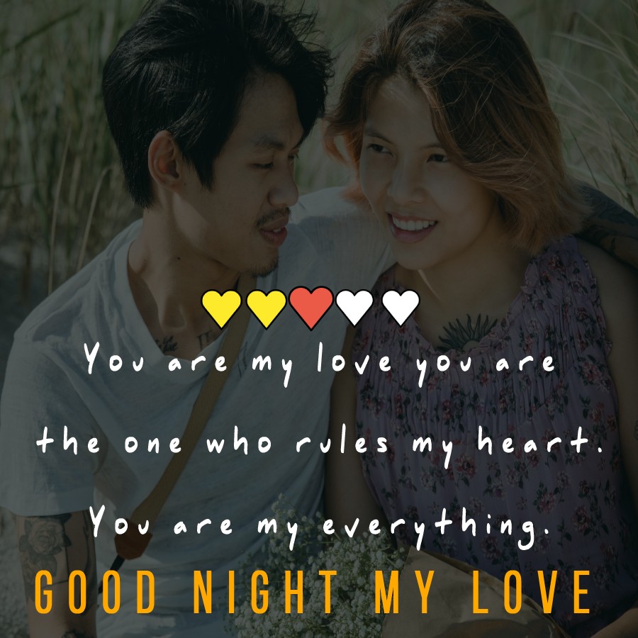 You are my love; you are the one who rules my heart. You are my everything. Good night my love! - Romantic good night messages
