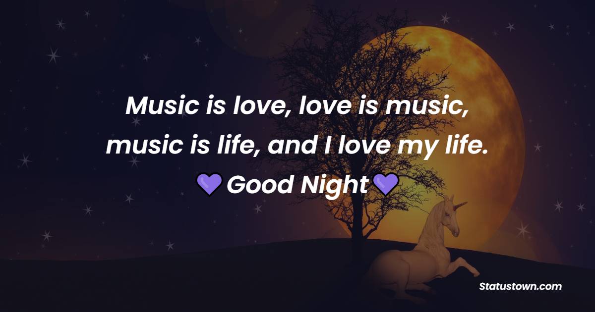 Music is love, love is music, music is life, and I love my life. Thank you and good night.