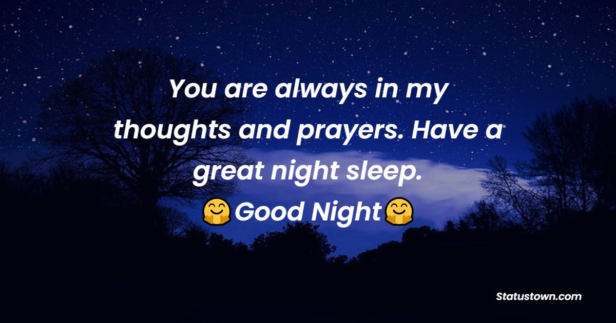 You are always in my thoughts and prayers. Have a great night sleep. - good night Messages 