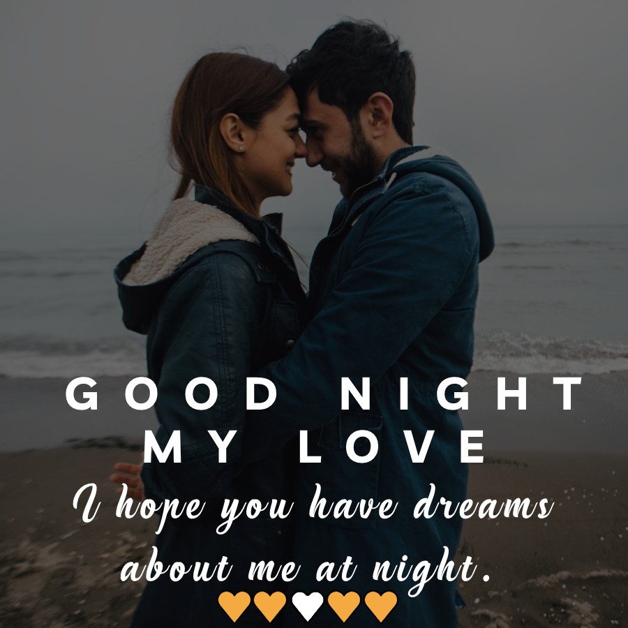 Good night, my love. I hope you have dreams about me at night. - good night quotes 