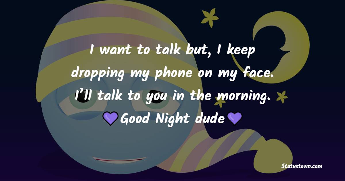 I want to talk but, I keep dropping my phone on my face. I’ll talk to you in the morning; good night dude! - good night status 