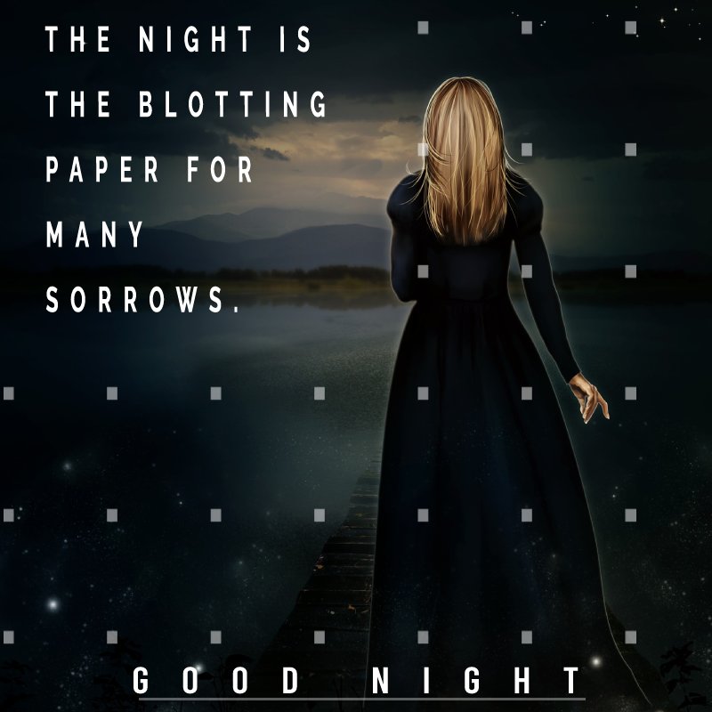 Night is the blotting paper for many sorrows. - good night status 
