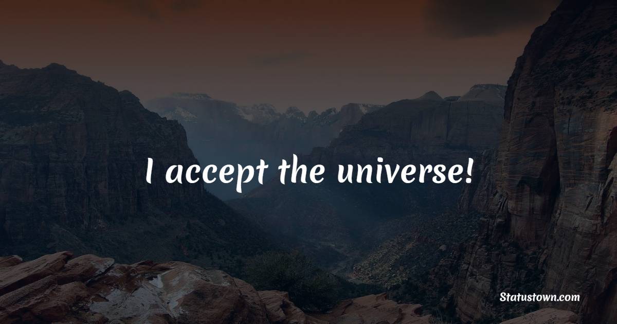 I accept the universe!