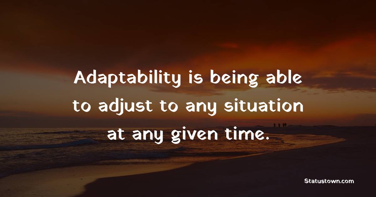 Adaptability is being able to adjust to any situation at any given time.