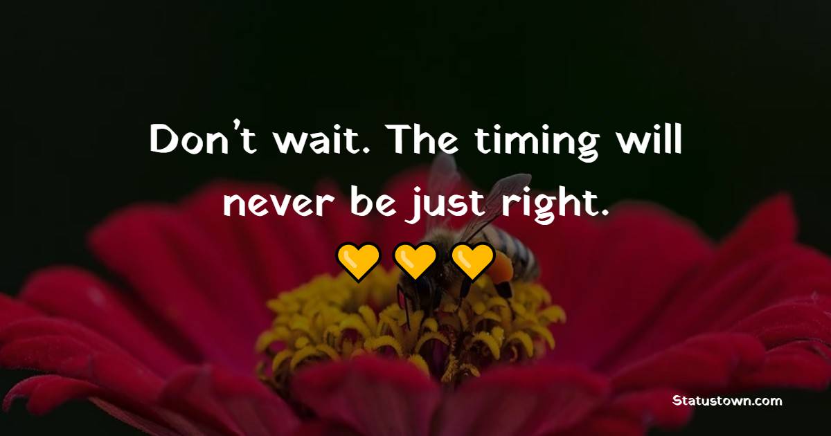 Don’t wait. The timing will never be just right. - Adoption Quotes
