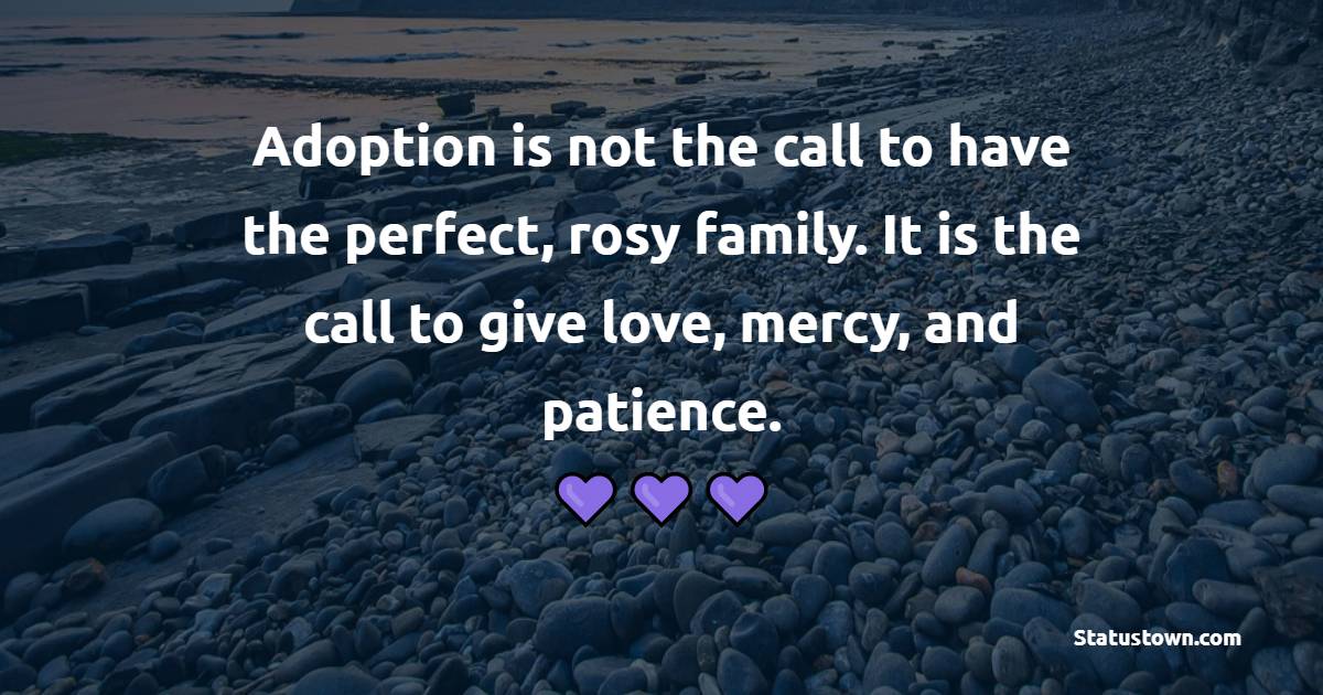 Adoption is not the call to have the perfect, rosy family. It is the call to give love, mercy, and patience. - Adoption Quotes