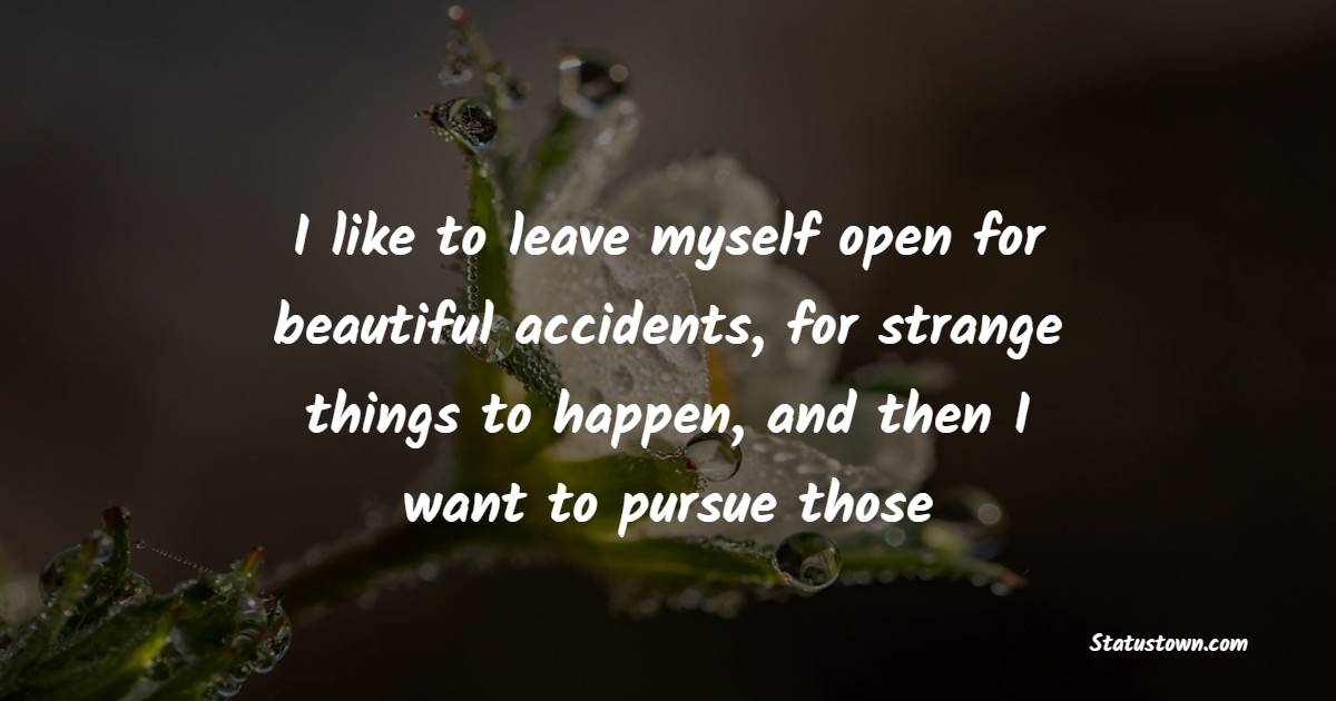 I like to leave myself open for beautiful accidents, for strange things to happen, and then I want to pursue those - Adventure Quotes 