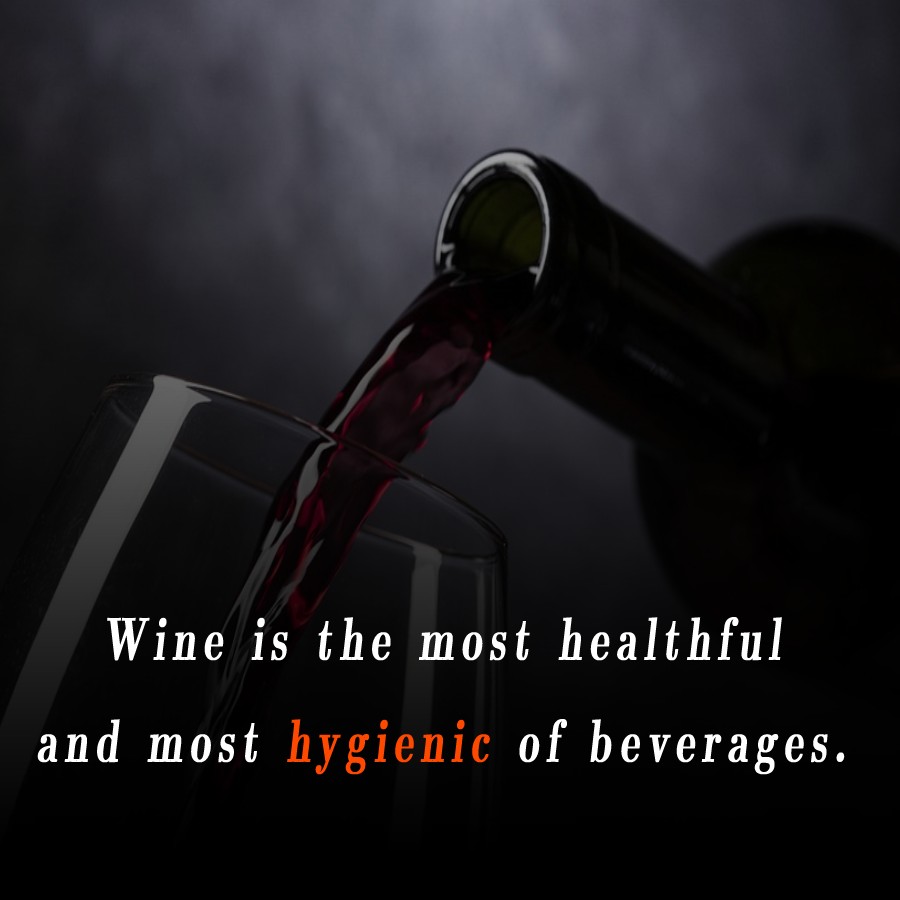 Wine is the most healthful and most hygienic of beverages. - Alcohol Quotes 