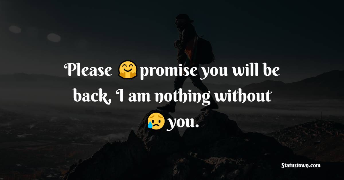 Please promise you will be back, I am nothing without you. - alone status