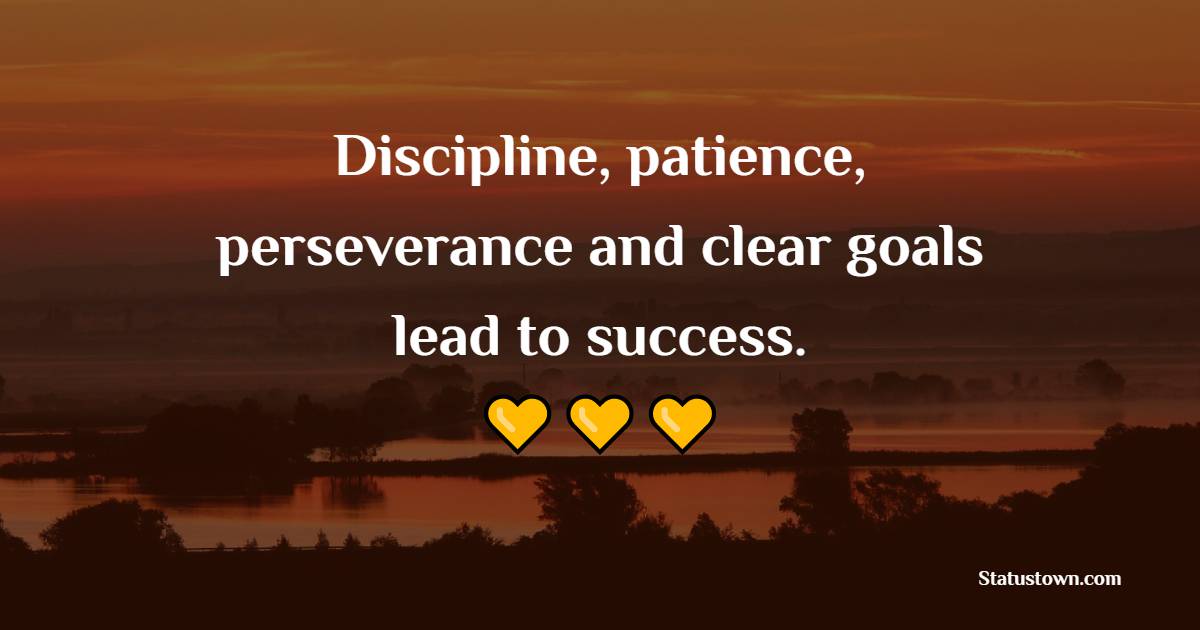 Discipline, patience, perseverance and clear goals lead to success.