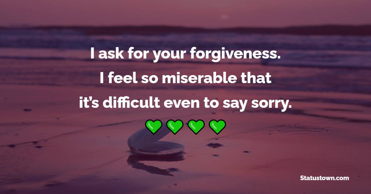 I ask for your forgiveness. I feel so miserable that it’s difficult even to say sorry.